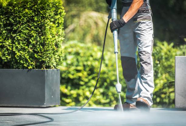 Best Sidewalk and Walkway Cleaning  in Litchfield, MI