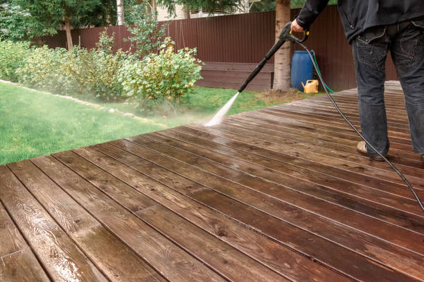 Best Solar Panel Cleaning  in Litchfield, MI