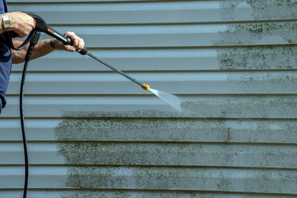 Best Building Exterior Washing  in Litchfield, MI
